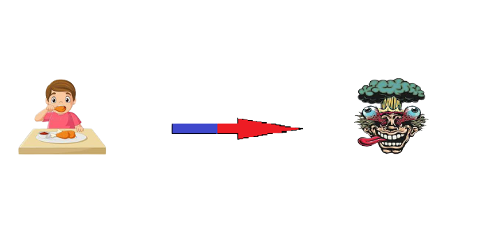 sauces and program explained